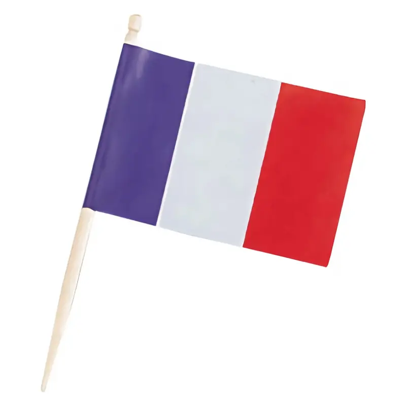 Daikoku French Flag Food Picks – 200-Piece Paper Skewer Pack 1
