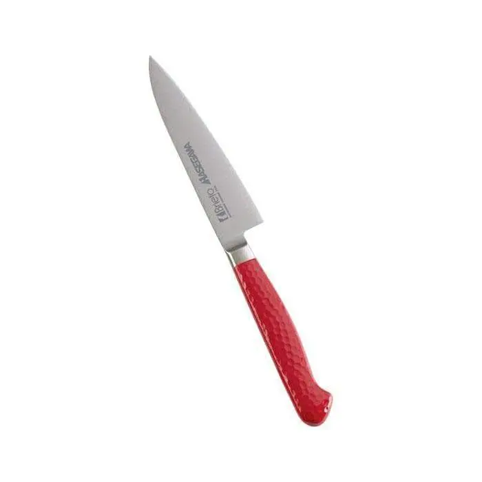 Hasegawa Stainless Steel Antibacterial Petty Chef’S Knife 6