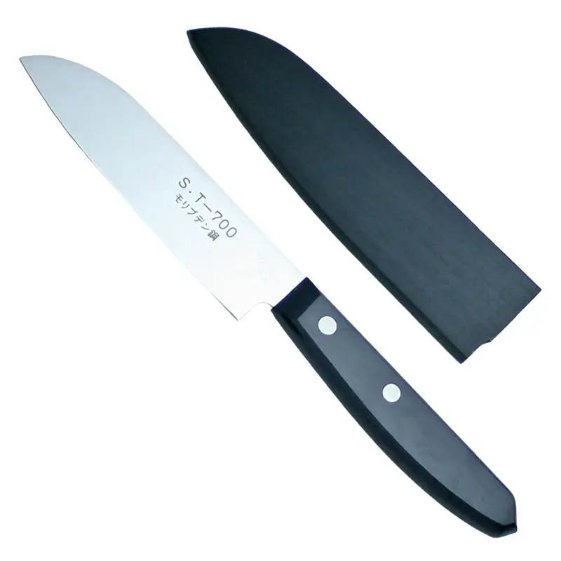 Kanetsune Seki Stainless Steel Precision Fruit Knife 1