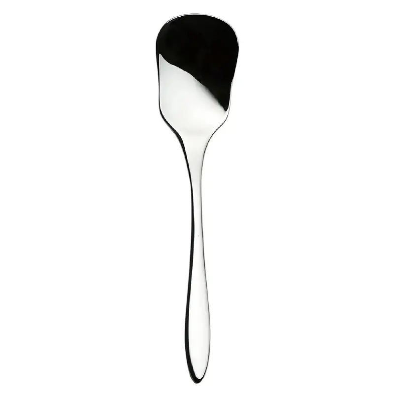 Luckywood Marille Stainless Steel Ice Cream Scoop Spoon 1