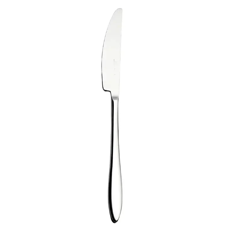 Luckywood Veloute Stainless Steel Fruit Knife – Sharp, Compact & Versatile 1