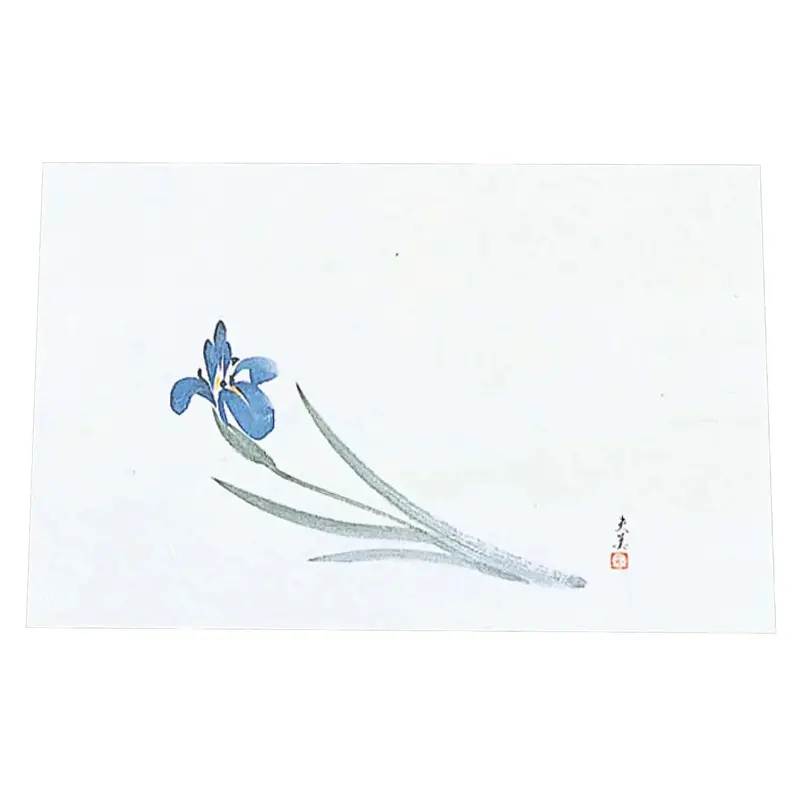 Min Washi Paper Placemats – Double Japanese Iris Design, 100-Pack 1