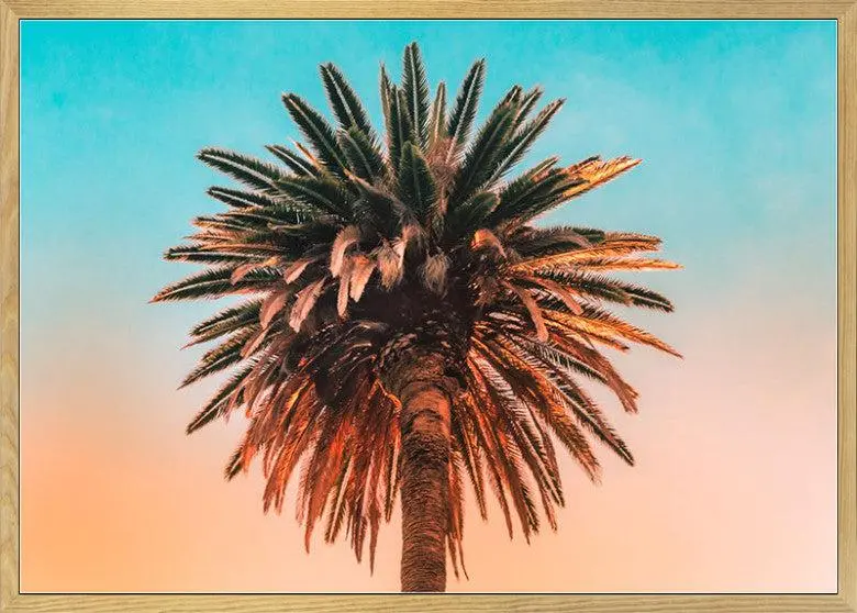 Palm Tree Tropical Art Print Poster 1