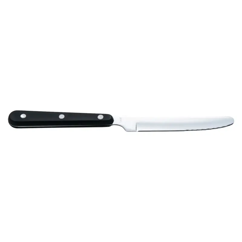 Seki Kanetsugu Stainless Steel Steak Knife – Forged Blade, Razor Sharp 1