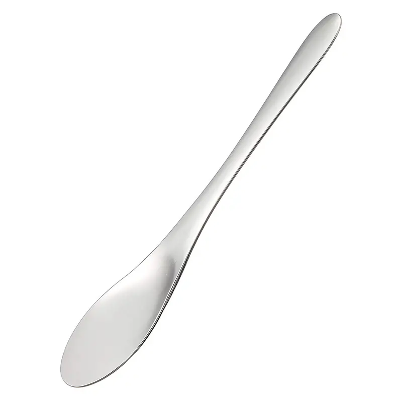 Takayama Traditional Japanese Stainless Steel Ice Cream Spade 1
